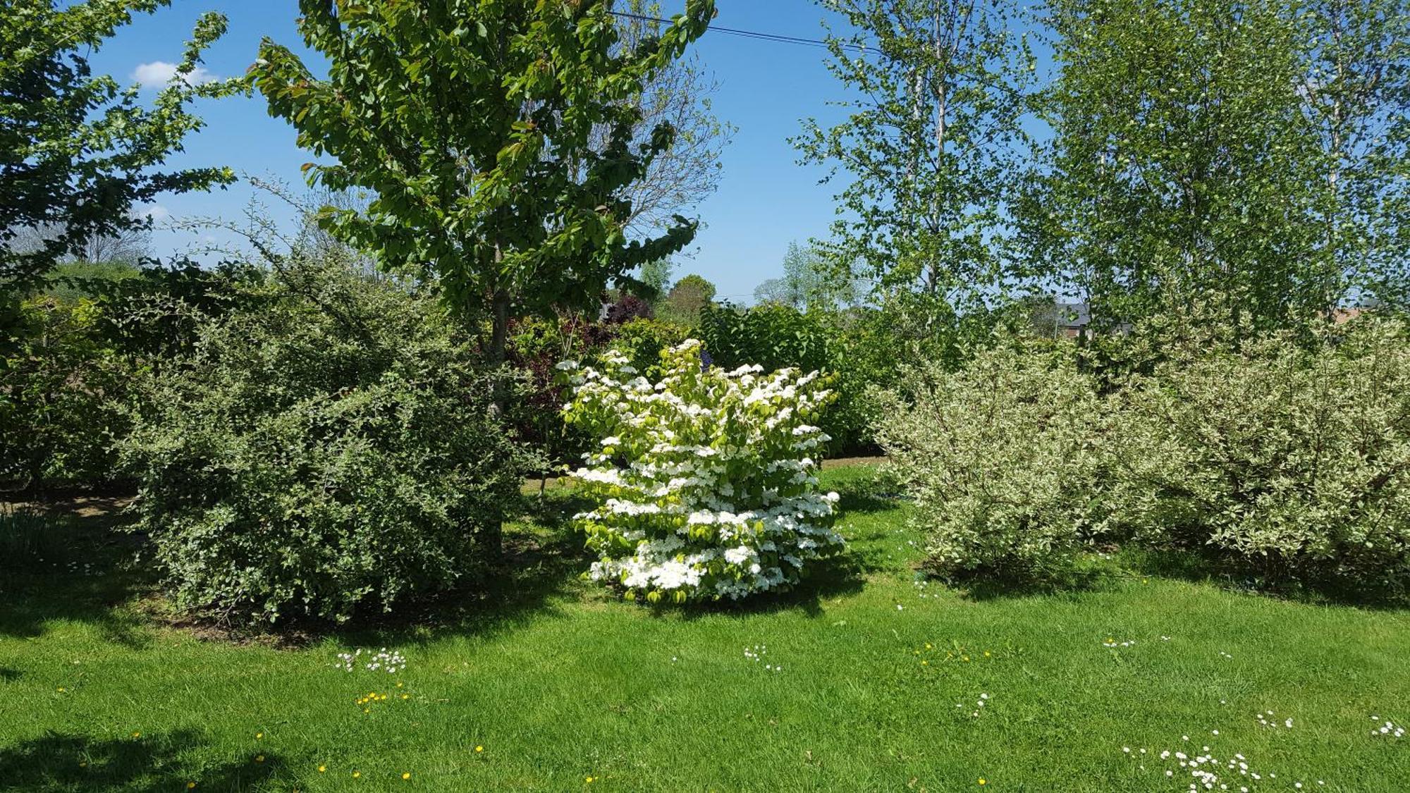 Gite D'Anne Et Ulysse Sept-Freres Exterior foto